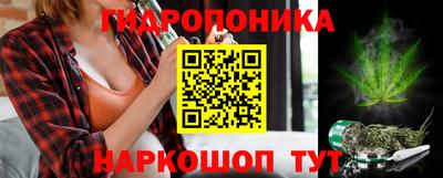 стафф Сланцы