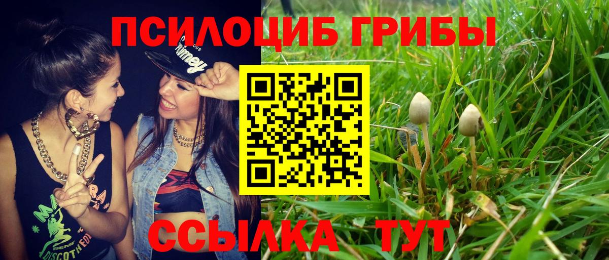 Протвино  Галлюциногенные грибы Cubensis  магазин    Вход с VPN 